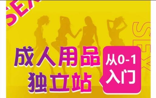 成人用品独立站从0-1入门，成品独立站运营全流程教学，七大好卖成品独立站推荐-江南创业网