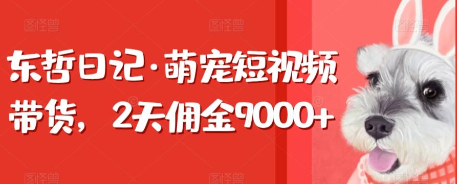 东哲日记·萌宠短视频带货，2天佣金9000+-江南创业网