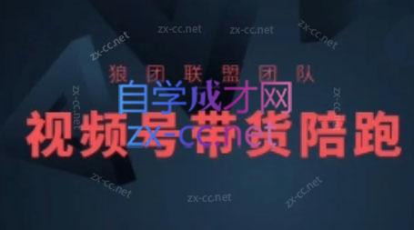 狼团联盟·2024视频号带货-江南创业网