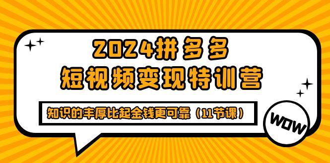 (9817期)2024拼多多短视频变现特训营，知识的丰厚比起金钱更可靠(11节课)-江南创业网