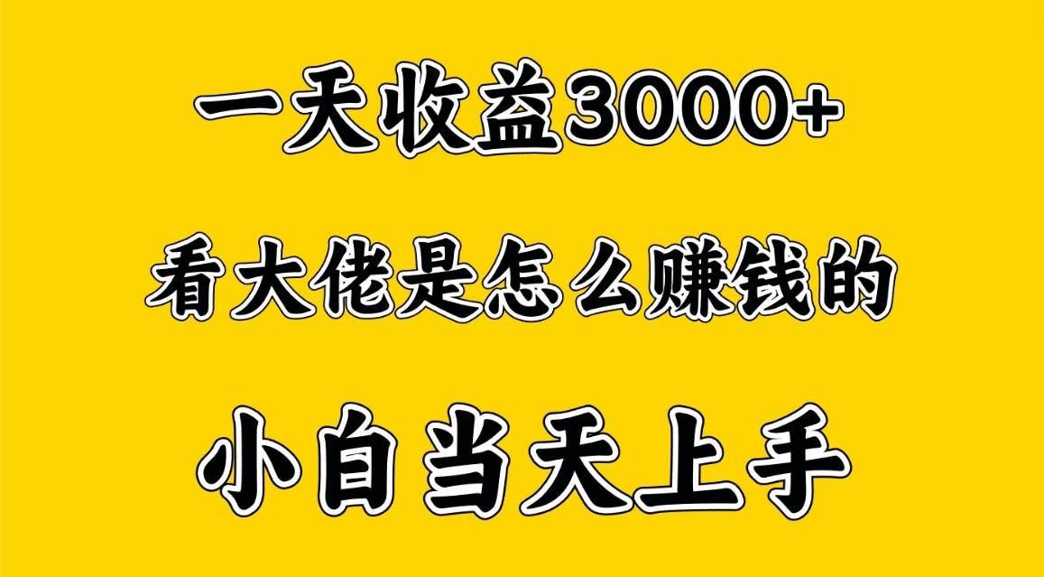 一天赚3000多，大佬是这样赚到钱的，小白当天上手，穷人翻身项目-江南创业网