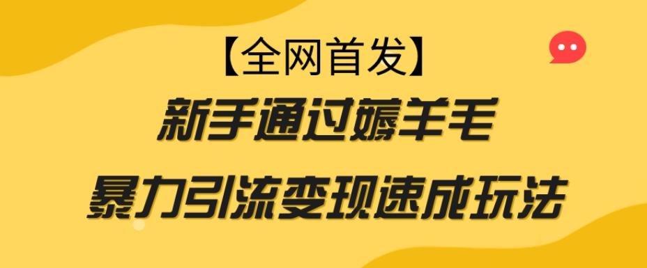 【全网首发】新手通过薅羊毛暴力引流变现速成玩法-江南创业网