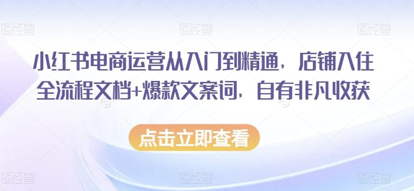 小红书电商运营从入门到精通，店铺入住全流程文档+爆款文案词，自有非凡收获-江南创业网