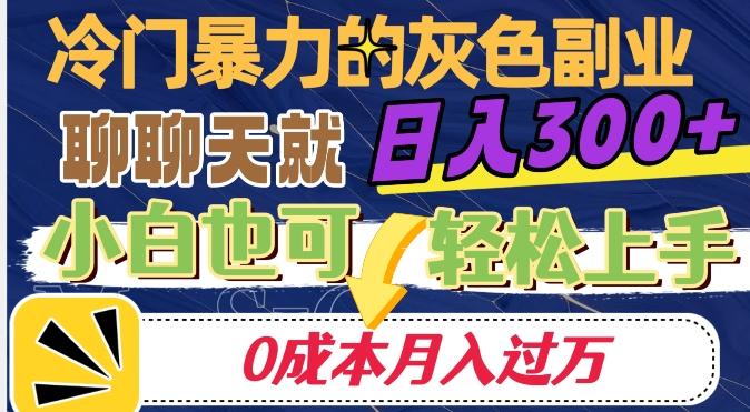 冷门暴利的副业项目,聊聊天就能日入300+,0成本月入过万【揭秘】-江南创业网