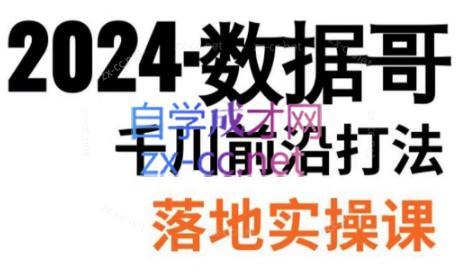数据哥·2024年千川前沿打法落地实操课-江南创业网