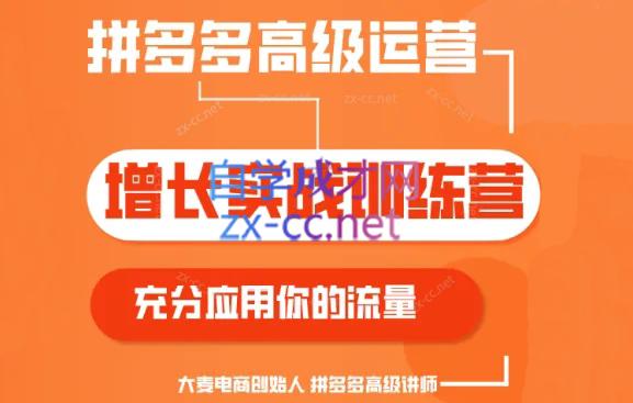 大麦老师·拼多多单品爆款打造课程(更新6月)-江南创业网