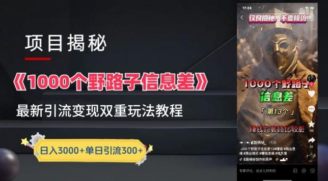 一千个野路子信息差最新玩法教程-变现+引流的玩法具体拆解【揭秘】-江南创业网