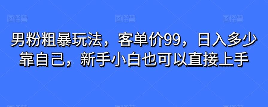 男粉粗暴玩法，客单价99，日入多少靠自己，新手小白也可以直接上手-江南创业网