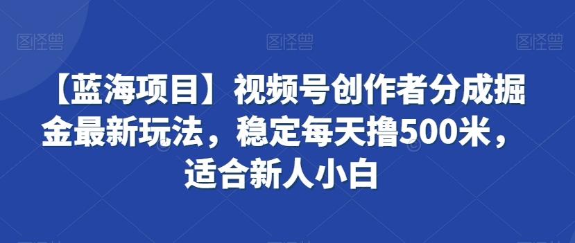 【蓝海项目】视频号创作者分成掘金最新玩法，稳定每天撸500米，适合新人小白【揭秘】-江南创业网