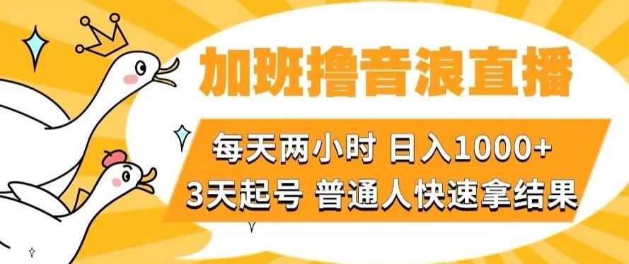加班撸音浪直播，每天两小时，日入1000+，直播话术才3句，3天起号，普通人快速拿结果【揭秘】-江南创业网