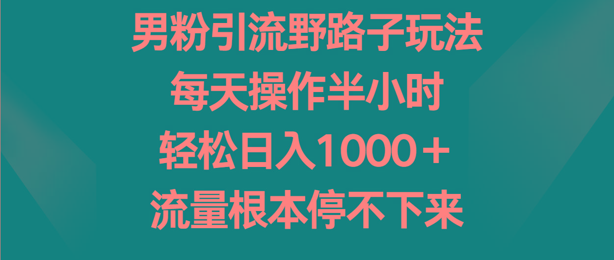 男粉引流野路子玩法，每天操作半小时轻松日入1000＋，流量根本停不下来-江南创业网