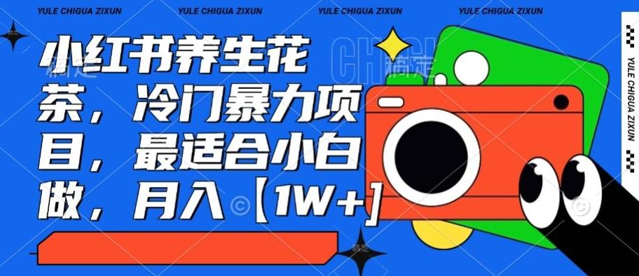 小红书养生花茶，冷门暴力项目，最适合小白做，月入【1W+】-江南创业网