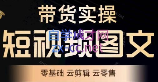鑫哥·2024零基础短视频带货实操营-江南创业网