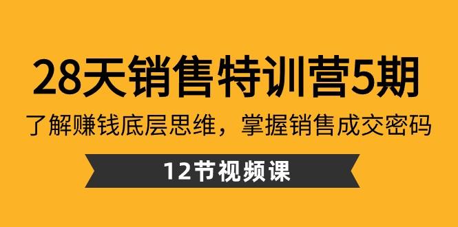 28天销售特训营5期：了解赚钱底层思维，掌握销售成交密码（12节课）-江南创业网