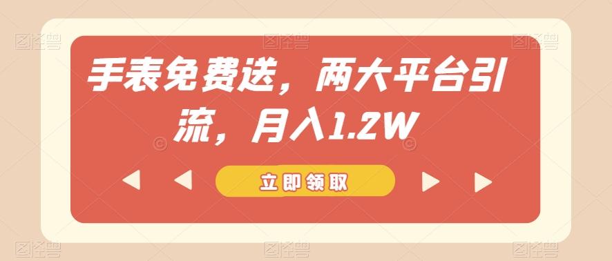 手表免费送，两大平台引流，月入1.2W【揭秘】-江南创业网