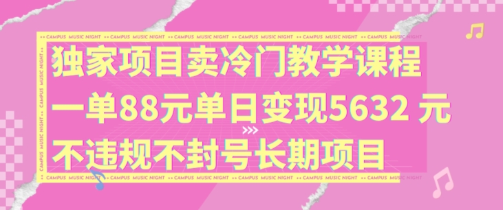 独家项目卖冷门教学课程一单88元单日变现5632元违规不封号长期项目【揭秘】-江南创业网