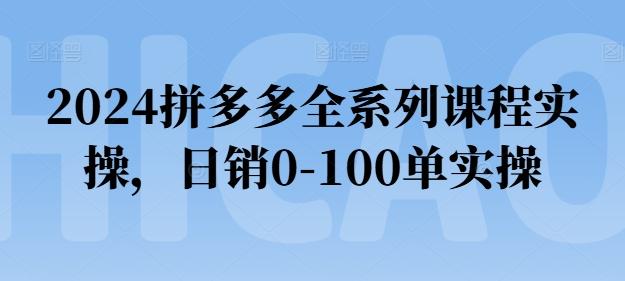 2024拼多多全系列课程实操，日销0-100单实操【必看】-江南创业网