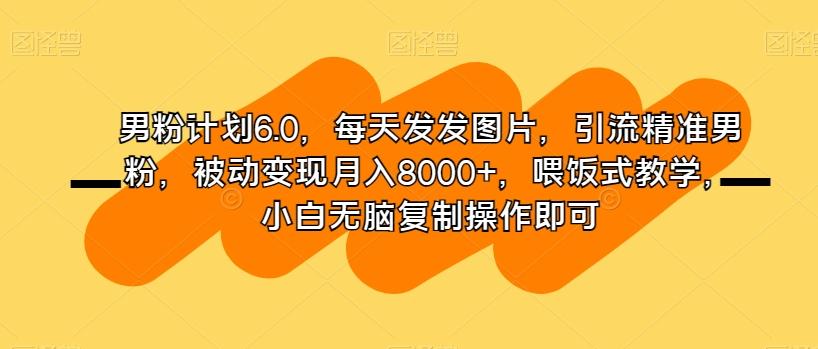 男粉计划6.0，每天发发图片，引流精准男粉，被动变现月入8000+，喂饭式教学，小白无脑复制操作即可-江南创业网