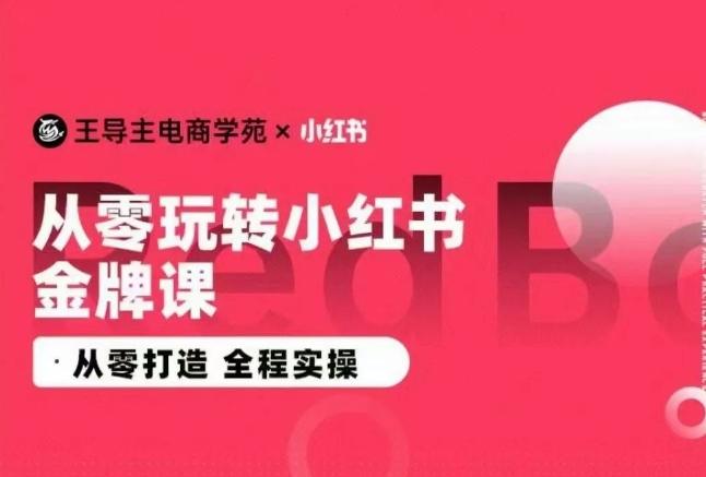 王导主·小红书电商运营实操课，​从零打造  全程实操-江南创业网