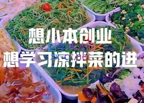 李记·精品凉拌菜系列热卤系列教程-江南创业网