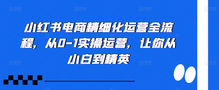 小红书电商精细化运营全流程，从0-1实操运营，让你从小白到精英-江南创业网