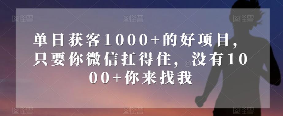 单日获客1000+的好项目，只要你微信扛得住，没有1000+你来找我【揭秘】-江南创业网