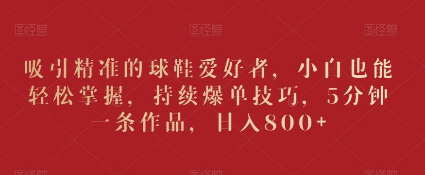 吸引精准的球鞋爱好者，小白也能轻松掌握，持续爆单技巧，5分钟一条作品，日入800+【揭秘】-江南创业网