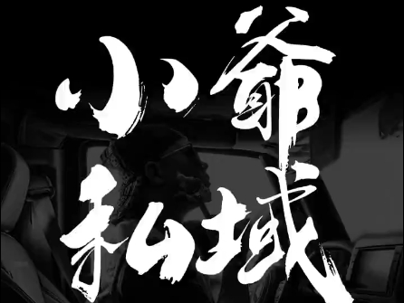 小爷·私域项目操盘手-江南创业网