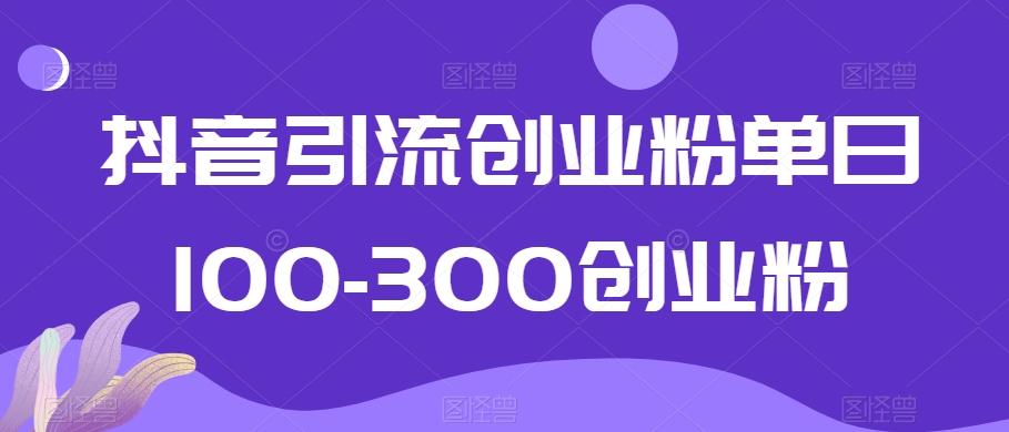 抖音引流创业粉单日100-300创业粉【揭秘】-江南创业网