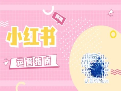 小红书运营指南，没有套路，全是经验-江南创业网