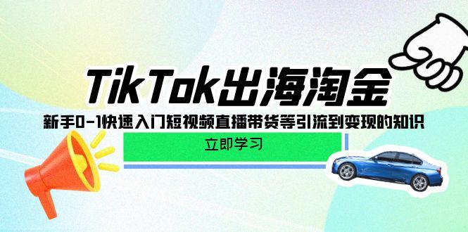 (10035期)TikTok-出海淘金，新手0-1快速入门短视频直播带货等引流到变现的知识-江南创业网