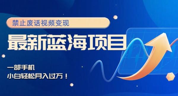最新蓝海项目，靠禁止废话视频变现，一部手机，小白轻松月入过万！-江南创业网