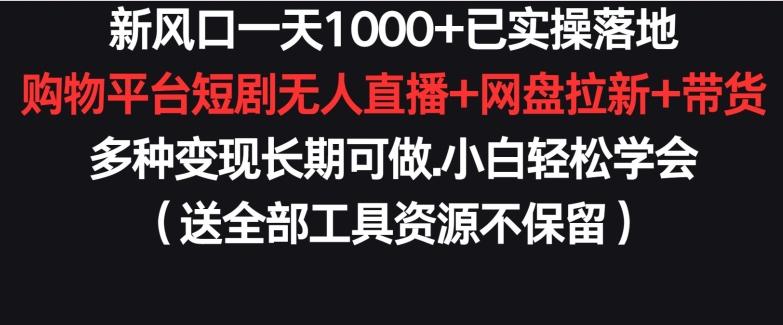 新风口一天1000+已实操落地购物平台短剧无人直播+网盘拉新+带货多种变现长期可做【揭秘】-江南创业网