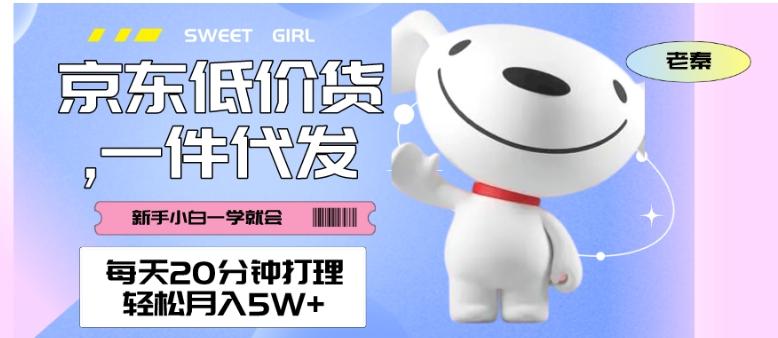 每天20分钟打理京东低价货，一件代发-轻松月入5W＋-江南创业网
