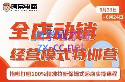 阿呆电商·全店动销经营模式特训营(线下录音+思维导图)-江南创业网