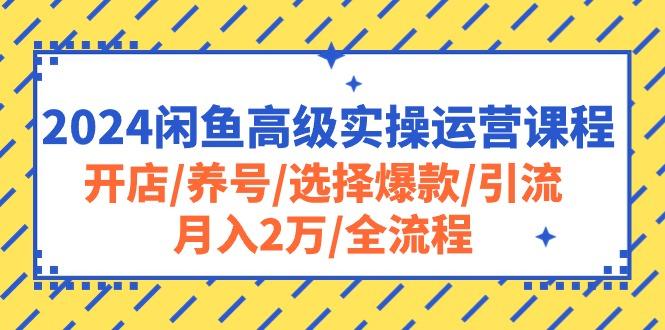 2024闲鱼高级实操运营课程：开店/养号/选择爆款/引流/月入2万/全流程-江南创业网