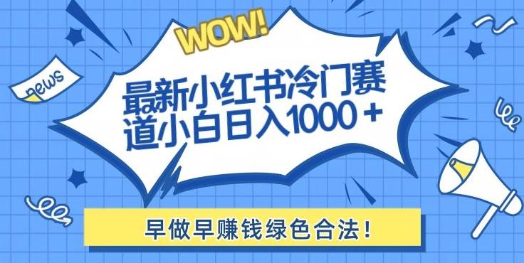 最新小红书冷门赛道日入1000+一部手机小白轻松-江南创业网