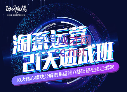 淘系运营21天速成班(更新7月)-江南创业网