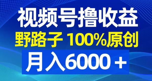 视频号野路子撸收益，100%原创，条条爆款，月入6000＋【揭秘】-江南创业网