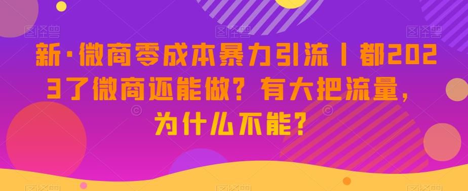 新·微商零成本暴力引流丨都2023了微商还能做？有大把流量，为什么不能？-江南创业网