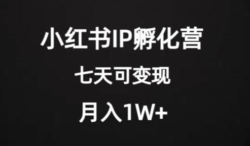 价值2000+的小红书IP孵化营项目，超级大蓝海，七天即可开始变现，稳定月入1W+-江南创业网