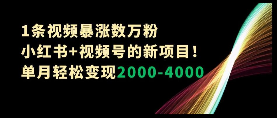 1条视频暴涨数万粉–小红书+视频号的新项目！单月轻松变现2000-4000【揭秘】-江南创业网