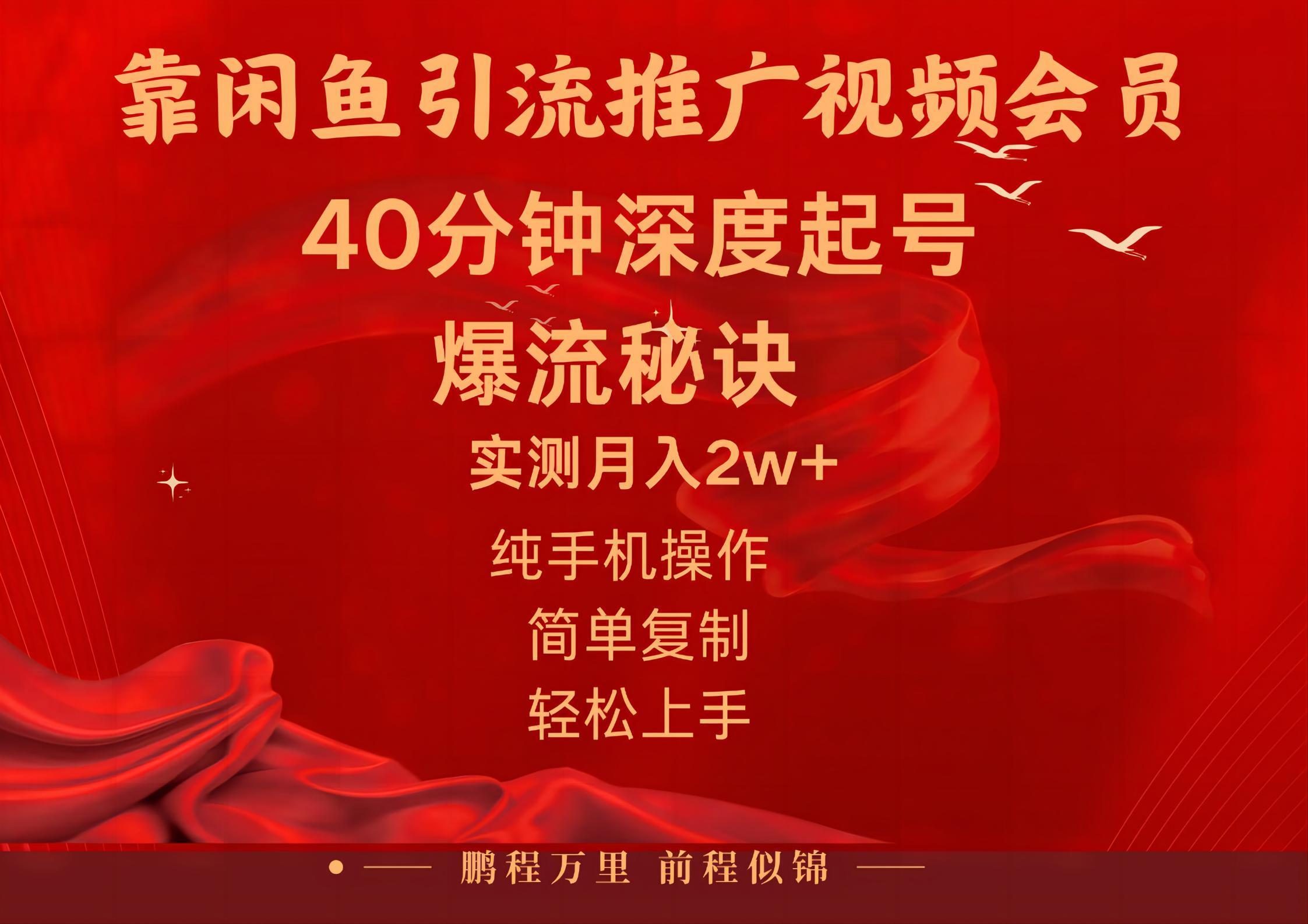 闲鱼暴力引流推广视频会员，能做到日入2W+，操作简单-江南创业网