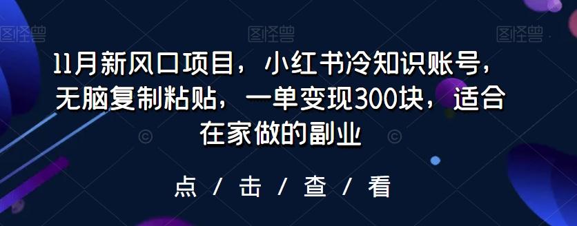 11月新风口项目，小红书冷知识账号，无脑复制粘贴，一单变现300块，适合在家做的副业-江南创业网