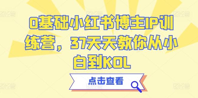 0基础小红书博主IP训练营，37天天教你从小白到KOL-江南创业网