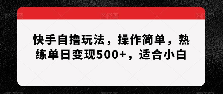 快手自撸玩法，操作简单，熟练单日变现500+，适合小白【揭秘】-江南创业网