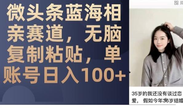 微头条蓝海相亲赛道，无脑复制粘贴，单账号日入100+-江南创业网