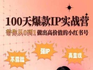 小红书100天爆款IP实战营，带你从0到1做出高价值的小红书号-江南创业网