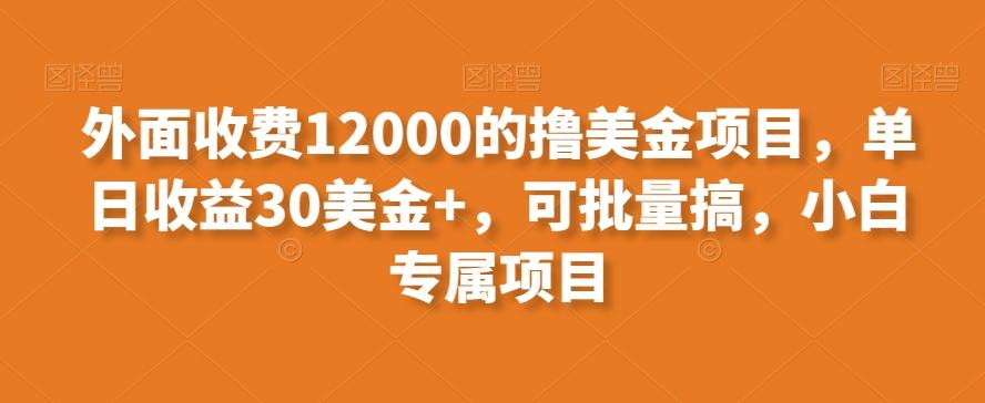 外面收费12000的撸美金项目，单日收益30美金+，可批量搞，小白专属项目-江南创业网
