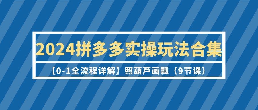 (9559期)2024拼多多实操玩法合集【0-1全流程详解】照葫芦画瓢(9节课)-江南创业网
